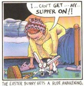 slipper