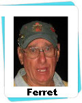 ferret