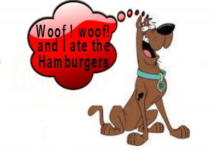 hamburger dog