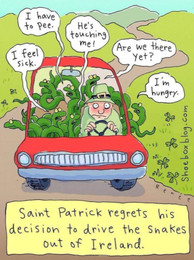 snakes st pats image